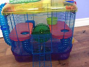 Wanted: Hamster cage food and running ball