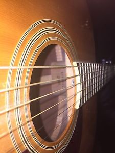 Washburn d34s