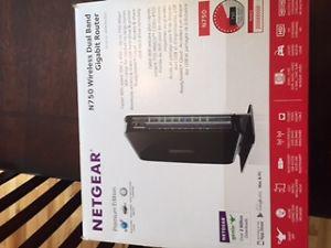 NetGear N750 Wireless Dual Band Router