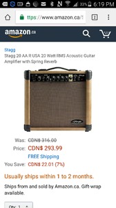 New Stagg Amp