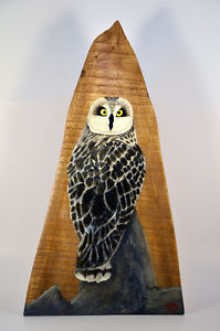 Owl on remnant wood