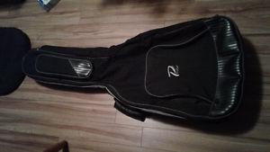Profile soft shell guitar case...lots of storage space great