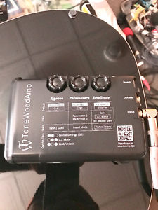 TonewoodAmp