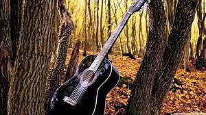 Wanted: Acoustic Steel String Guitar.