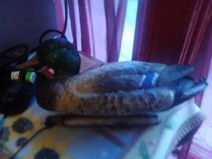 duck decoy made in italy