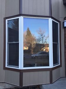 3 separate windows