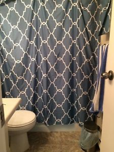 Brand new urban barn shower curtain