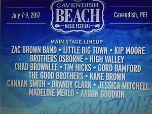 Cavendish Beach Festival full weekend ticket.
