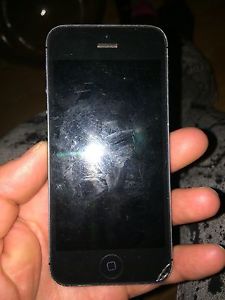 iPhone 5 16 gb on Rogers or fido