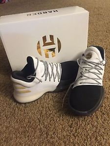 Adidas Harden Vol. 1 basketball shoes