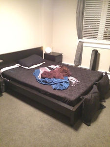 Black Brown Ikea Malm Low Bed with Mattress & Nightstand