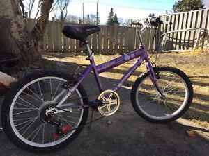 Girls 20 inch bike - purple