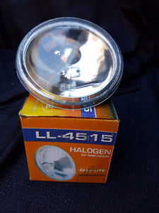 Halogen Bulbs for Pin Lights