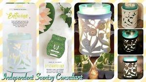 Scentsy's warmer and scent of the month!