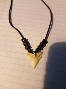 Shark tooth necklace