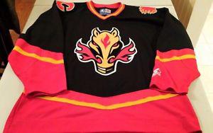 Wanted: LOOKING FOR CALGARY FLAMES HORSE HEAD JERSEY