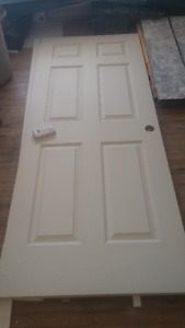 BRAND NEW interior door and frame 36" by 80"