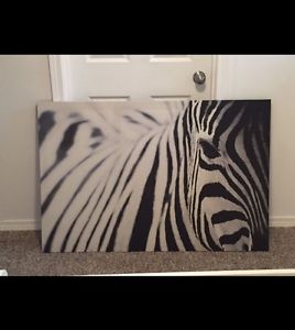 Canvas Zebra Picture