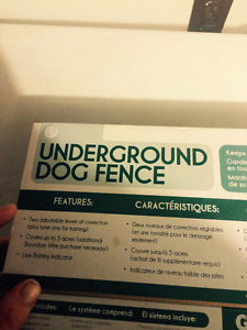 Dog under ground fence