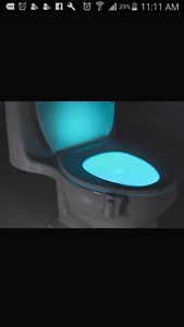 Glowing Toilet Bowl light