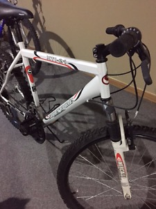 Mountain bike