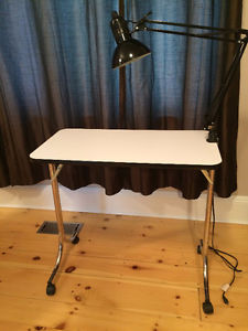 Swing arm lamp for manicure table