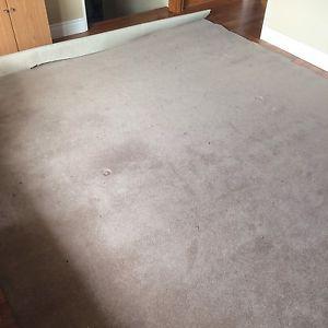 13.4'x9.4' clean tan color carpet