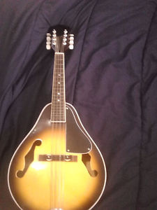 8 string mandolin