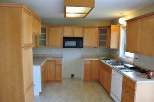 Complete kitchen cabinets