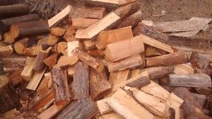 Dry larch for sale