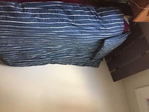 Excellent shape single bed with new Seally mattress