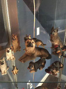 German Shepherd Dog Collection