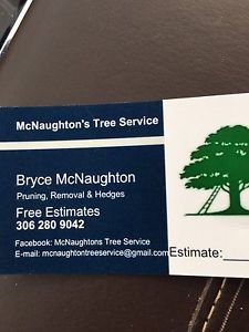 Mcnaughton's tree service