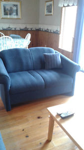 Small sofa and love seat