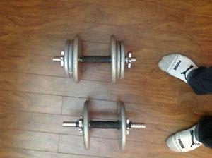 2 dumbbells and 60 lbs free weights