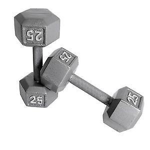 25 pds free weights for sale