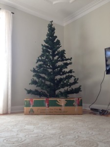 7 foot Canadian Pine Christmas Tree