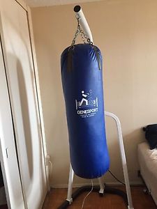 Heavy bag with stand