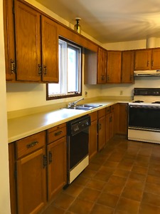 Kitchen cabinets with dishwasher/oven