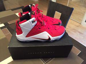 Nike Lebron % Authentic Size 13 with box