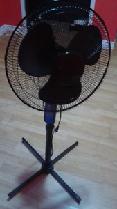 Stand Up Fan