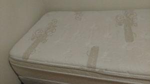 Twin mattress, Boxspring, and Bed frame