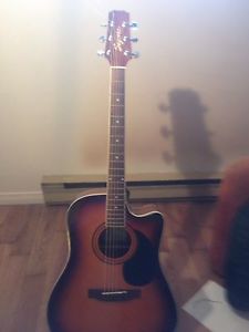 Wanted: Acoustic Electric guitar with built in tuner and