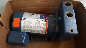 3/4 hp Berkeley submersible pump