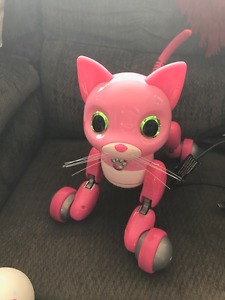 Pink zoomer kitty