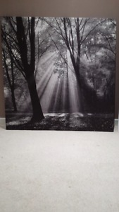Wall Art for sale