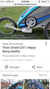 Wanted: Wanted: strolling wheels for chariot