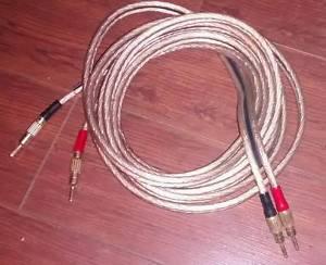 acoustic research 10GA speaker cable