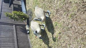 2 lawn decoy geese