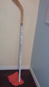 AHL Autographed Hockey Stick